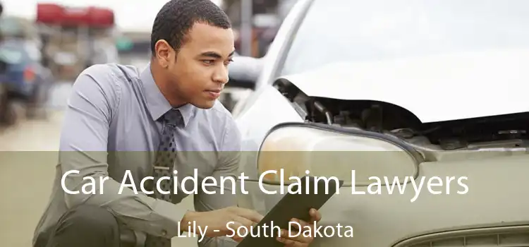 Car Accident Claim Lawyers Lily - South Dakota