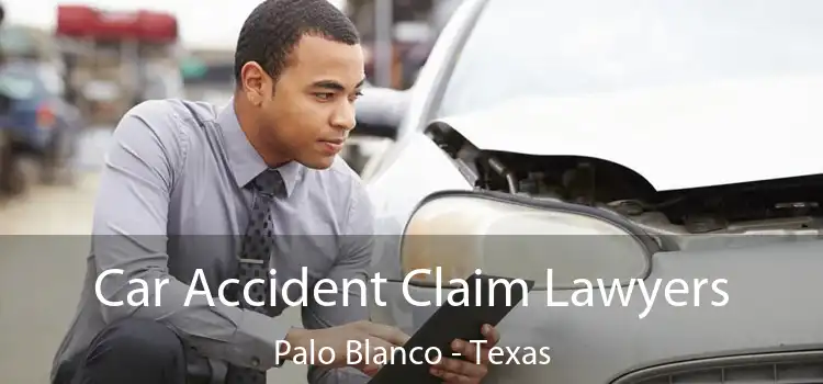 Car Accident Claim Lawyers Palo Blanco - Texas