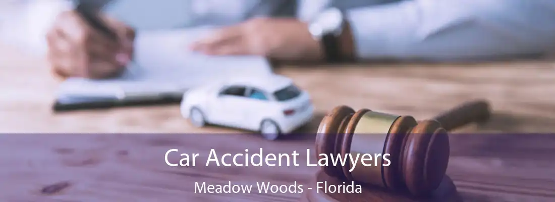 Car Accident Lawyers Meadow Woods - Florida