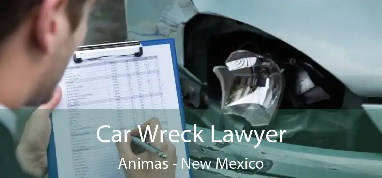 Car Wreck Lawyer Animas - New Mexico
