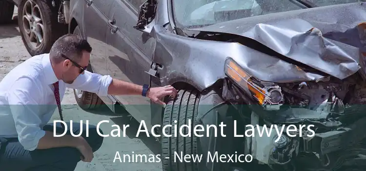 DUI Car Accident Lawyers Animas - New Mexico