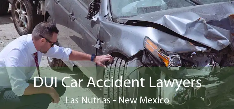 DUI Car Accident Lawyers Las Nutrias - New Mexico