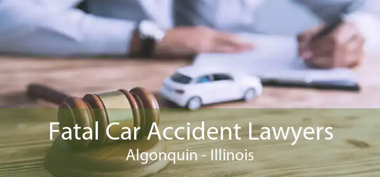 Fatal Car Accident Lawyers Algonquin - Illinois