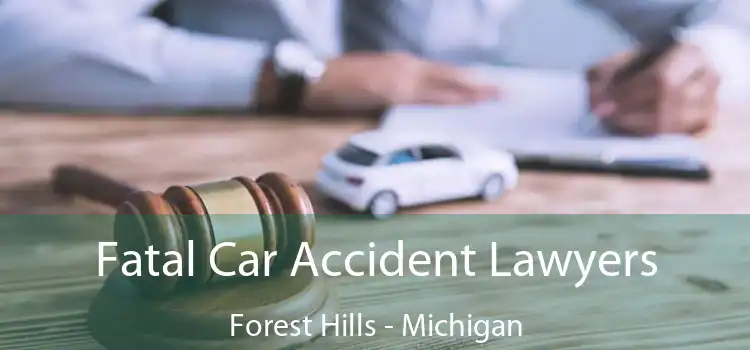 Fatal Car Accident Lawyers Forest Hills - Michigan