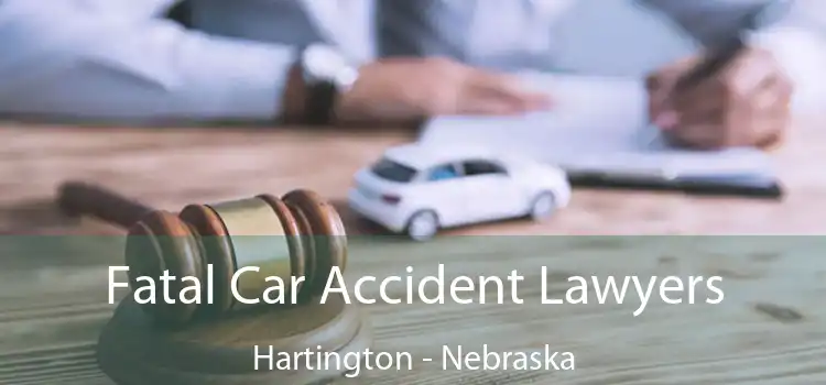Fatal Car Accident Lawyers Hartington - Nebraska