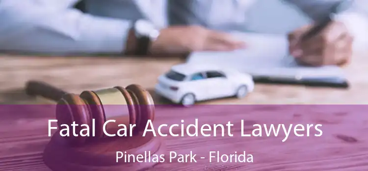 Fatal Car Accident Lawyers Pinellas Park - Florida