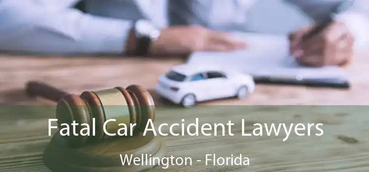 Fatal Car Accident Lawyers Wellington - Florida
