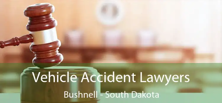 Vehicle Accident Lawyers Bushnell - South Dakota