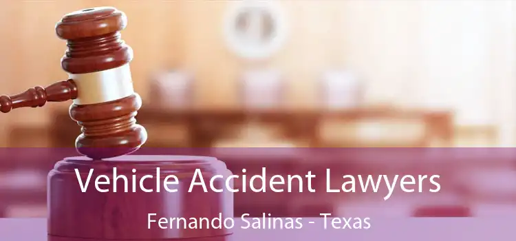 Vehicle Accident Lawyers Fernando Salinas - Texas